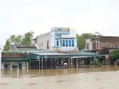 Lũ trên sông Hoàng Long đạt đỉnh, nhiều nhà dân Ninh Bình chìm trong biển nước