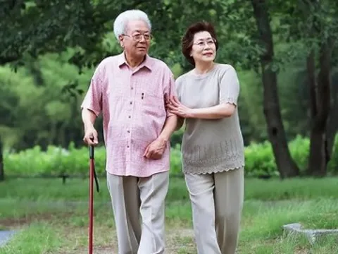 Về già, cuộc sống của người có và người không có bạn đồng hành khác biệt rõ rệt, bảo sao không nên sống một mình