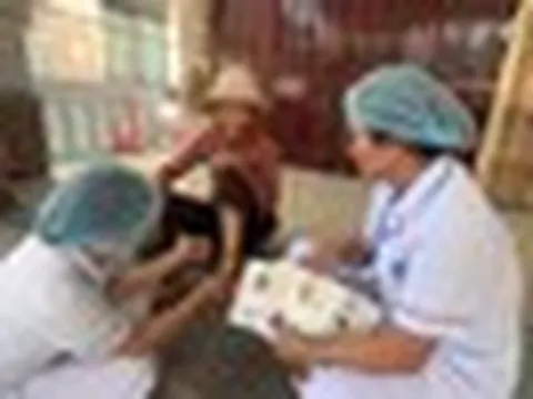 Chó mắc bệnh dại cắn 8 người ở Quảng Ngãi