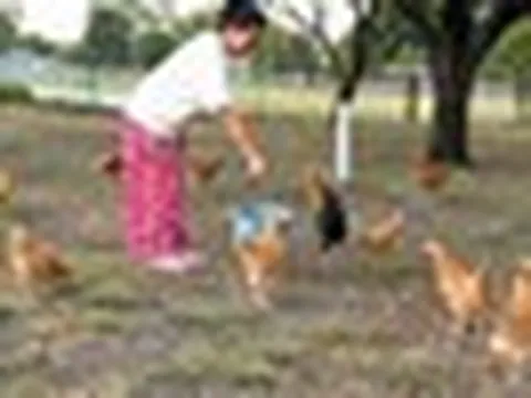 Nữ ca sĩ Việt sinh năm 1978 qua Mỹ hơn 20 năm vẫn nổi tiếng, thích trồng rau, nuôi gà trong ngôi nhà 1.400 m2