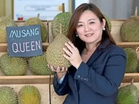 Đối thủ Việt Nam xuất khẩu sầu riêng theo cách chưa từng có: Cho 2 tấn trái cây đi tàu biển tới Trung Quốc, bên trong container có công nghệ đặc biệt