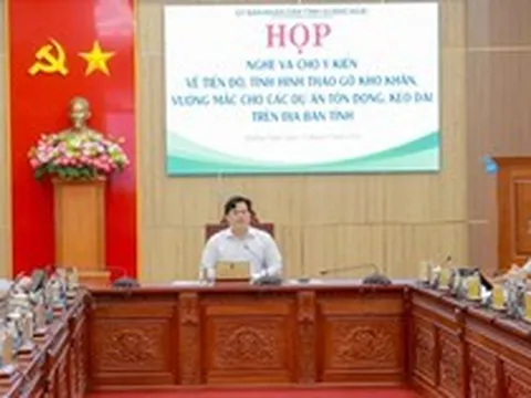 Quảng Ngãi: Gấp rút xử lý dứt điểm các dự án tồn đọng, kéo dài