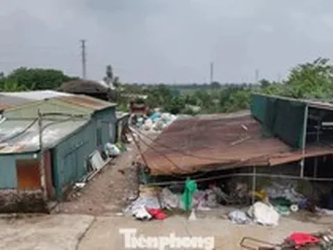 Hà Nội xử lý hàng trăm trường hợp vi phạm trên đất nông nghiệp