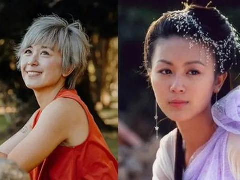 Diễn viên 'Ngưu lang chức nữ' bị công ty quản lý kiện, yêu cầu bồi thường