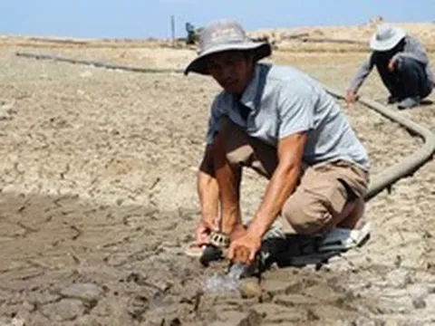 Dự báo mưa giảm 20-40% do El Nino, không chờ đến mùa khô mới chống hạn