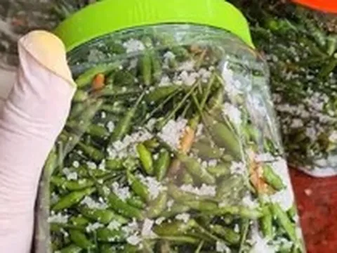 Ớt gió vùng cao có giá cao gấp nhiều lần ớt thường vì sao?