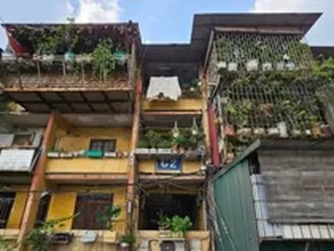 Chung cư cũ sẽ có 'mốc tuổi', cư dân được chọn 4 cách bồi thường khi phá dỡ