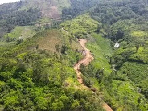Chủ tịch tỉnh Gia Lai chỉ đạo thanh tra vụ không biết chữ nhưng ‘đứng đơn’ xin 60 ha đất trồng rừng