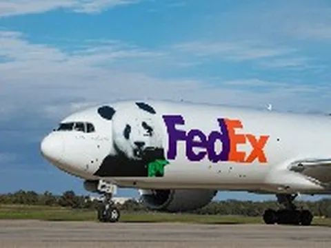 Đúng 7h sáng, một máy bay Boeing 777F từ Trung Quốc chở “quốc bảo” 6 tuổi đến Mỹ