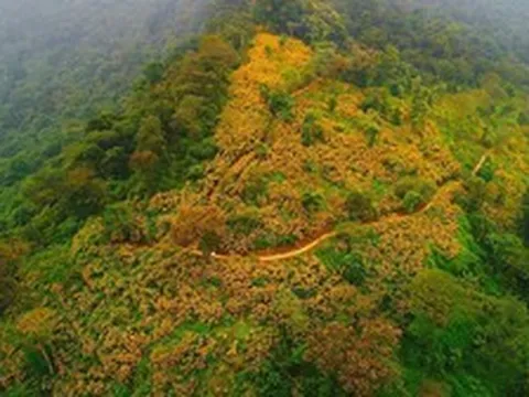 Một “kỳ quan” chưa từng có sắp xuất hiện ở Hà Nội: Rộng 580ha, được đầu tư 10.000 tỷ đồng