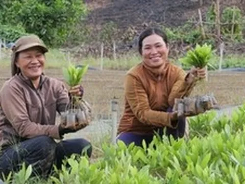 Khoa học công nghệ tạo động lực mới cho xuất khẩu nông sản