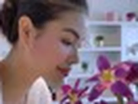 Nữ giảng viên quê Hải Phòng từng nổi đình đám showbiz từ năm 24 tuổi, hiện bán hoa, làm trang trí đám cưới ở Mỹ, sống trong biệt thự 2 tầng