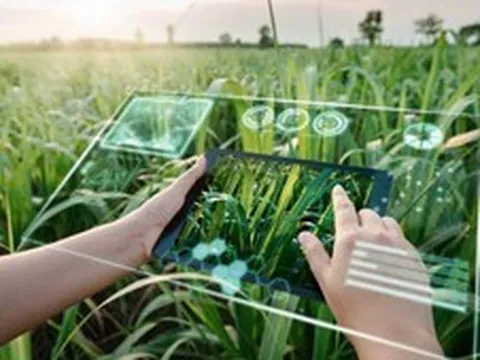 Đưa AI đến gần hơn với bài toán thực tế của nông nghiệp