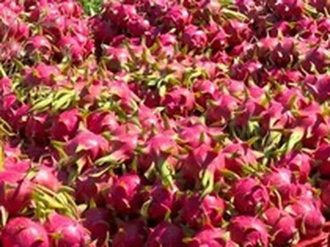 Nông sản Việt đứng trước quy định an toàn thực phẩm mới