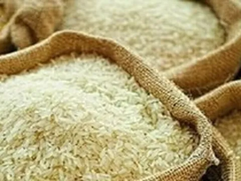 Giá gạo xuất khẩu Ấn Độ lên cao nhất hơn một năm