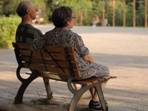 Có một con sợ cô đơn, có nhiều con sợ bất hòa: Có bao nhiêu con thì nghỉ hưu an nhàn, chuyện này về già mới hiểu