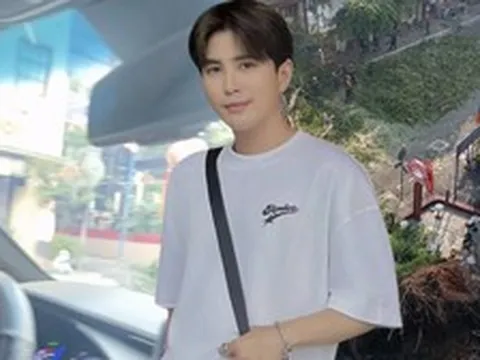 Xe của Will bị cây cổ thụ trên đường Đinh Tiên Hoàng đổ trúng