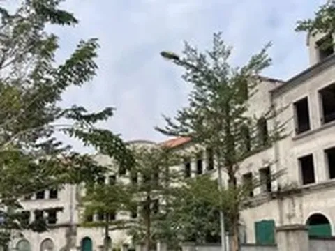 Đất trong bao lâu không sử dụng thì bị coi là bỏ hoang?