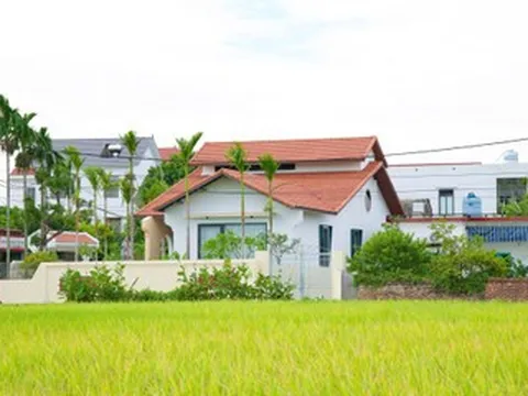 Con trai xây nhà cấp 4 'không giống ai' rộng 150m2 tặng mẹ ở Hải Phòng