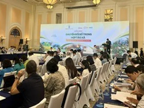 Chuyển đổi số trong Hợp tác xã: Từ dữ liệu sản xuất đến mở rộng thị trường