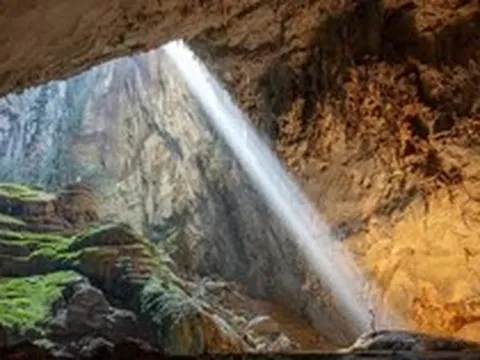 Giả mạo website Oxalis để lừa bán tour Sơn Đoòng