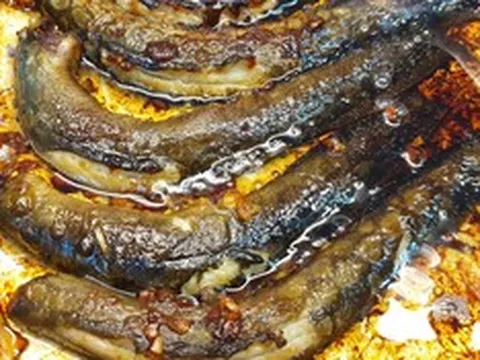 Loại cá thế giới ví như "sâm nước", hóa ra chợ Việt bán đầy