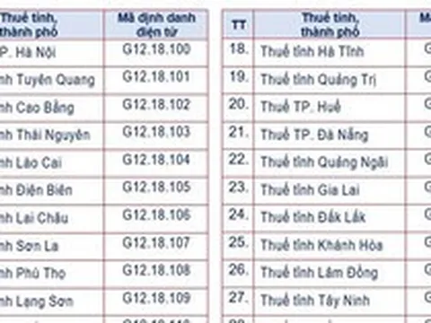 Cơ quan thuế các cấp dùng mã định danh điện tử mới từ tháng 10/2026