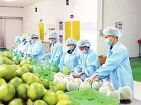Nông sản 'chạy nước rút' hướng đến mốc 18 tỷ USD cuối năm