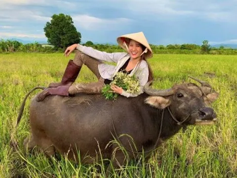 Cô bé đi chăn trâu, mò cua bắt ốc trở thành Á hậu nóng bỏng, lấy thiếu gia Hà Nội nay sống giàu sướng