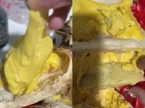 Xuất hiện "sầu riêng giả" giá rẻ bán rong ven đường: Bổ ra bên trong chỉ có... khoai tây