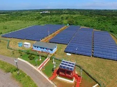 Trung Quốc là 'ông trùm' nhưng Cuba đang ồ ạt nhập mặt hàng này từ Mỹ - 'Họ đang trở thành khách hàng quan trọng của chúng ta'