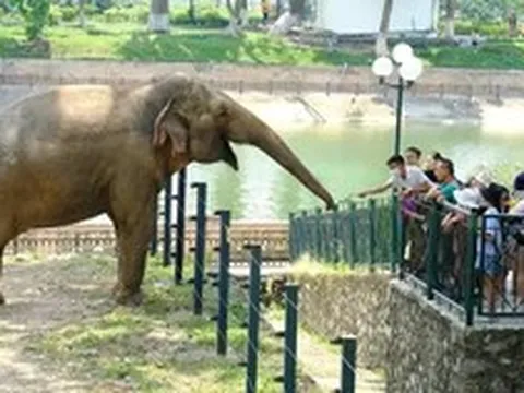 Quy hoạch một phần Công viên Thủ Lệ sang mô hình ‘trải nghiệm sinh cảnh hoang dã tự nhiên’
