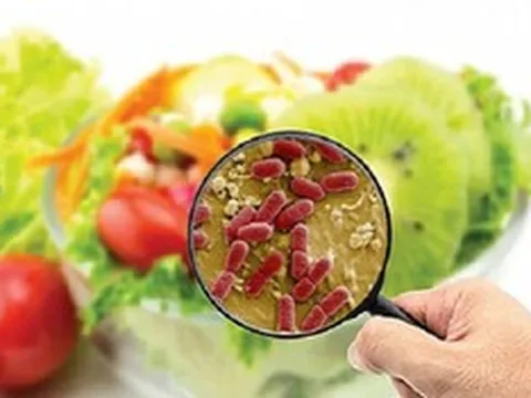 Bộ Y tế yêu cầu các địa phương chủ động kiểm soát nguy cơ ngộ độc thực phẩm