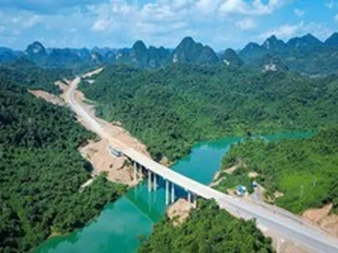 Đầu tư, thi công, quản lý vận hành 64km hầm cầu, 845km cao tốc và quốc lộ, 7 cầu cấp đặc biệt... Đèo Cả lãi 564 tỷ đồng sau 9 tháng