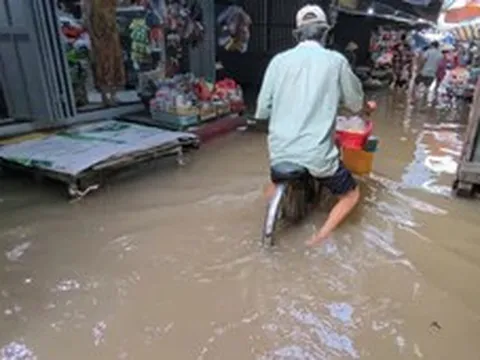 Vĩnh Long cảnh báo ngập do triều cường, đợt mới dự báo cao vào cuối tháng 10