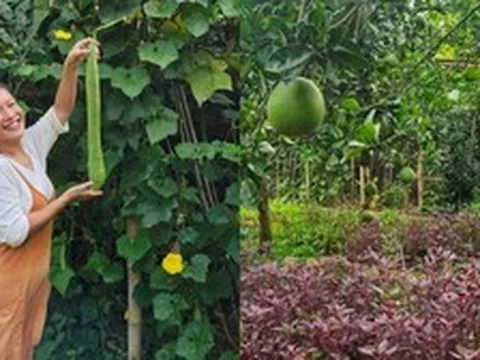 Mẹ nuôi của Phương Oanh nghỉ hưu sớm, làm nông dân ở khu vườn rộng 4.000m² ven sông Hồng