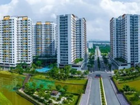 Bán nhà chung cư mới biết phải nộp thuế đất phi nông nghiệp: Quy định thế nào?
