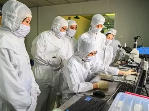 Những gương mặt Việt Nam ghi danh bảng xếp hạng nhà khoa học ảnh hưởng nhất thế giới 2026