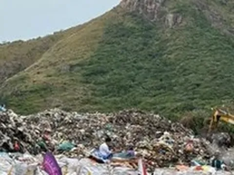 Bãi bỏ quyết định chuyển 1,92 ha rừng Côn Đảo làm nhà máy xử lý rác