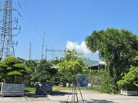 Đà Nẵng cho thuê hàng trăm tài sản công: Nhà nước tránh lãng phí, người dân thêm cơ hội kinh doanh