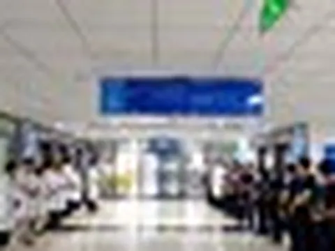 Người nhà quyết định hiến tạng nữ giáo viên sau khi gặp tai nạn tử vong