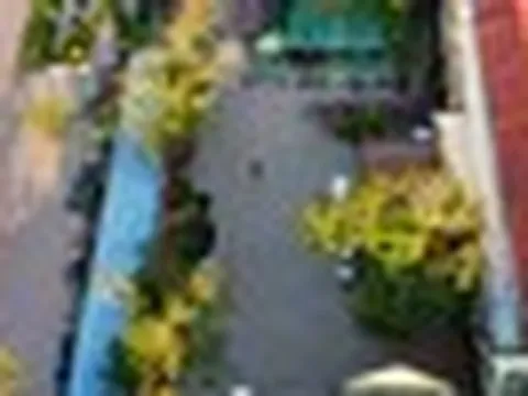 Bên trong sân trường nơi xảy ra vụ học sinh lớp 1 tử vong ở Hải Phòng