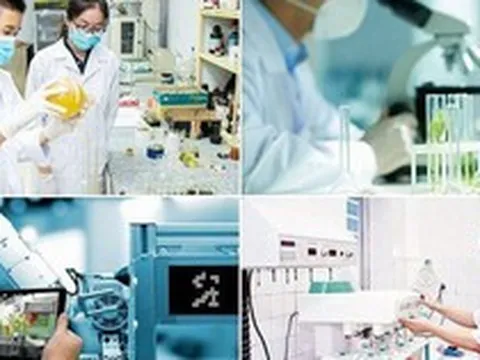 Cơ chế mới thu hút chuyên gia, tài năng trẻ trong lĩnh vực dữ liệu và đổi mới sáng tạo