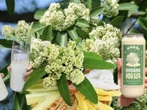 Thực hư trà sữa, nước khoáng hoa sữa gây sốt tại Hà Nội, uống vào thực khách liền “bất ngờ”
