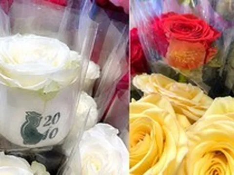 Quà 20/10 độc lạ: Hoa hồng in hình phụ nữ mặc áo dài, cốc giữ nhiệt khắc tên