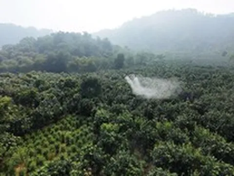 FPT Retail sắp triển khai hàng loạt UAV tại một tỉnh Tây Bắc, thực hiện nhiệm vụ quan trọng