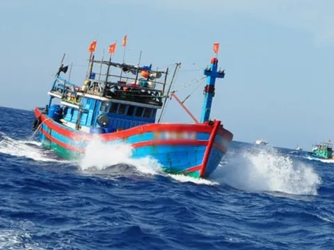 Nguy cơ thất thu 127 tỷ đồng từ các vụ tàu cá mất kết nối giám sát tại Cà Mau