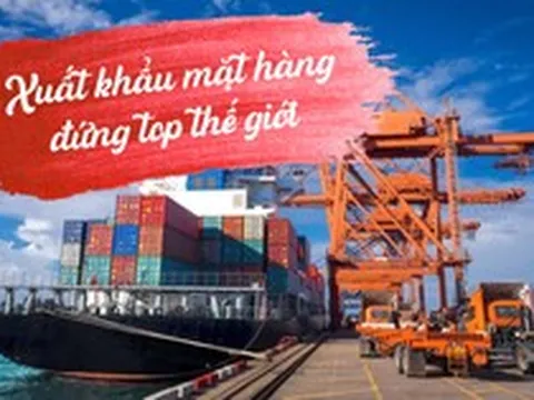 'Cây vàng cây bạc' mọc khắp Việt Nam được Nga tích cực thu mua: Trung Quốc tìm cách 'hồi sinh', nước ta nằm top thế giới
