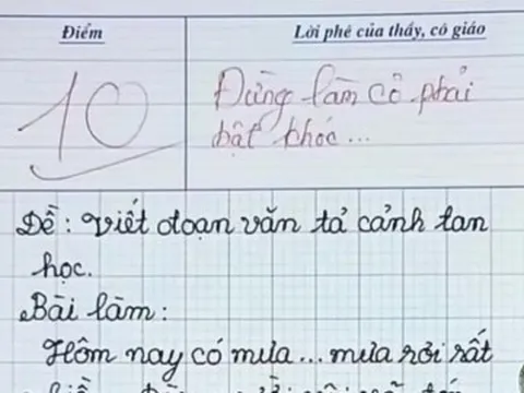 Viết văn tả cảnh tan học, bé tiểu học nhận điểm 10 tròn trĩnh, cô giáo lên tiếng: Đừng làm cô khóc