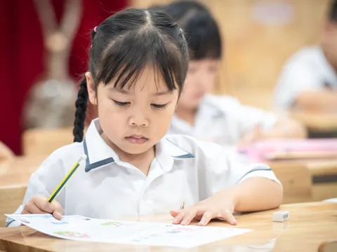 Dự kiến không kiểm tra, tuyển chọn học sinh vào lớp 1